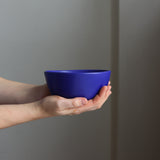Breakfast bowl